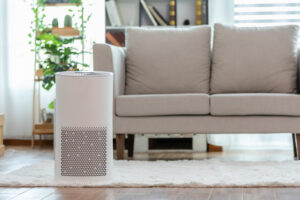 Blog 1 air purifier at home